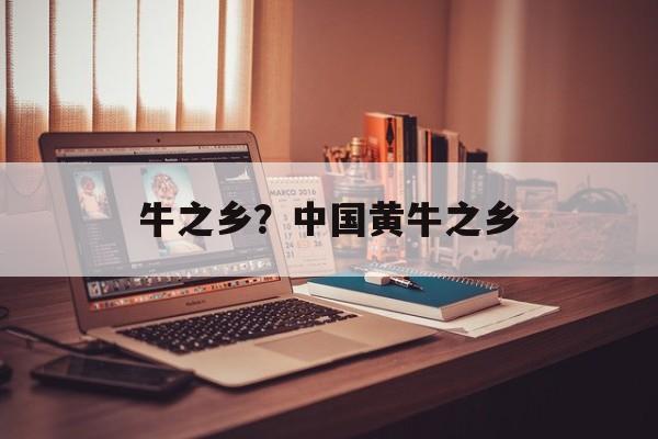 牛之乡？中国黄牛之乡-第1张图片-