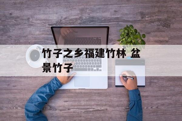 竹子之乡福建竹林 盆景竹子-第1张图片-