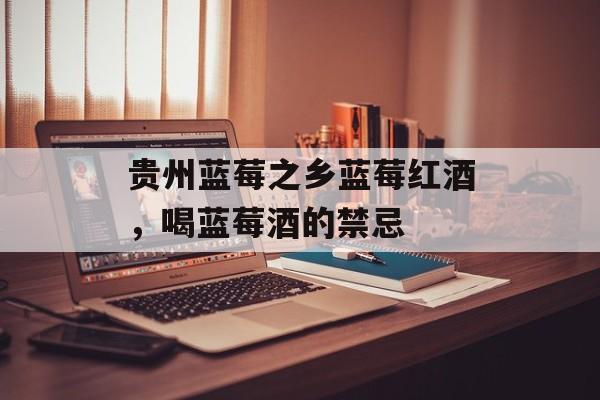 贵州蓝莓之乡蓝莓红酒，喝蓝莓酒的禁忌-第1张图片-