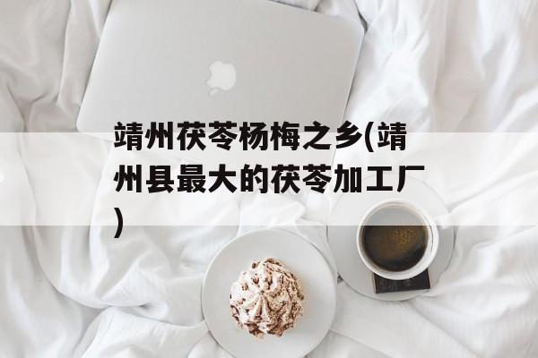 靖州茯苓杨梅之乡(靖州县最大的茯苓加工厂)-第1张图片-