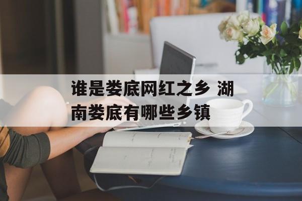 谁是娄底网红之乡 湖南娄底有哪些乡镇-第1张图片-
