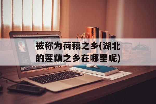 被称为荷藕之乡(湖北的莲藕之乡在哪里呢)-第1张图片-