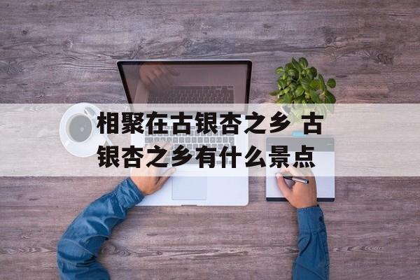 相聚在古银杏之乡 古银杏之乡有什么景点-第1张图片-