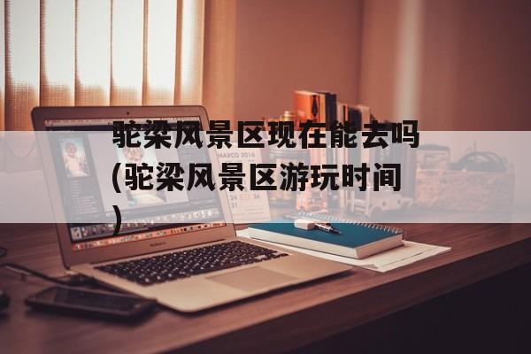驼梁风景区现在能去吗(驼梁风景区游玩时间)-第1张图片-