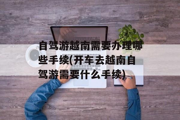 自驾游越南需要办理哪些手续(开车去越南自驾游需要什么手续)-第1张图片-
