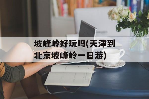 坡峰岭好玩吗(天津到北京坡峰岭一日游)-第1张图片-