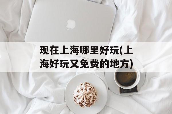 现在上海哪里好玩(上海好玩又免费的地方)-第1张图片-