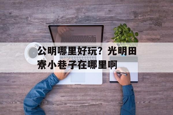 公明哪里好玩？光明田寮小巷子在哪里啊-第1张图片-