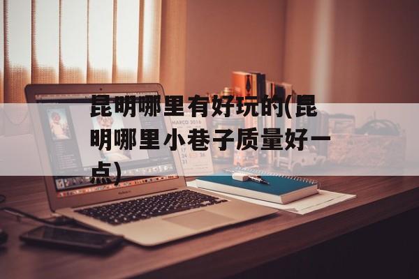 昆明哪里有好玩的(昆明哪里小巷子质量好一点)-第1张图片-