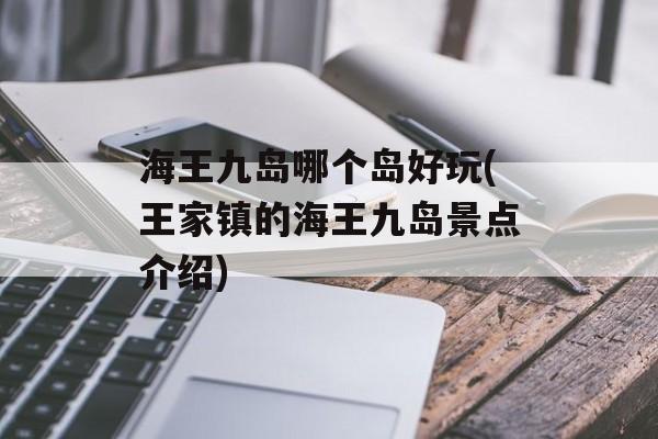 海王九岛哪个岛好玩(王家镇的海王九岛景点介绍)-第1张图片-