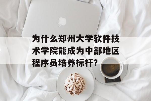 为什么郑州大学软件技术学院能成为中部地区程序员培养标杆？-第1张图片-