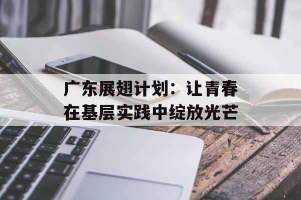 广东展翅计划：让青春在基层实践中绽放光芒-第1张图片-