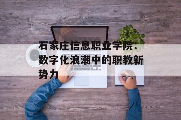 石家庄信息职业学院：数字化浪潮中的职教新势力-第1张图片-
