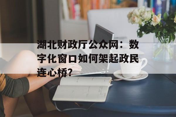 湖北财政厅公众网：数字化窗口如何架起政民连心桥？-第1张图片-