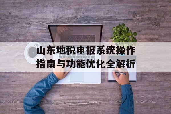 山东地税申报系统操作指南与功能优化全解析-第1张图片-