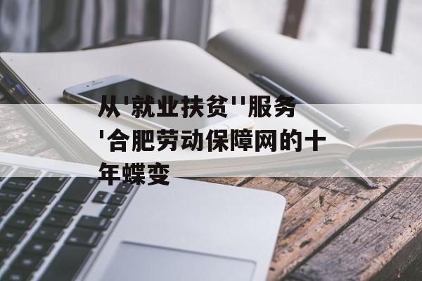 从'就业扶贫''服务'合肥劳动保障网的十年蝶变-第1张图片-