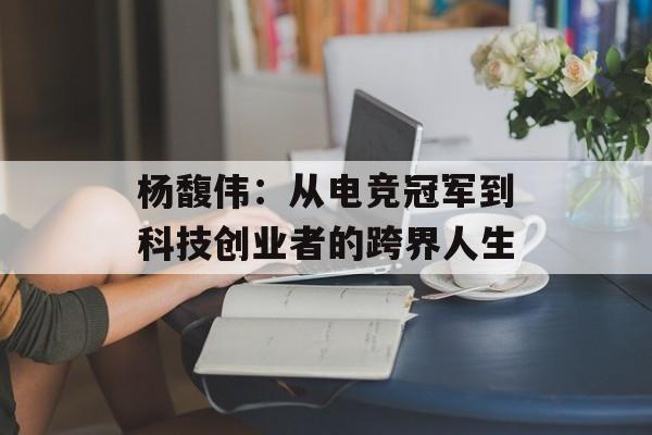 杨馥伟：从电竞冠军到科技创业者的跨界人生-第1张图片-