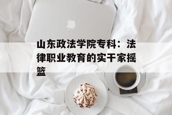 山东政法学院专科：法律职业教育的实干家摇篮-第1张图片-