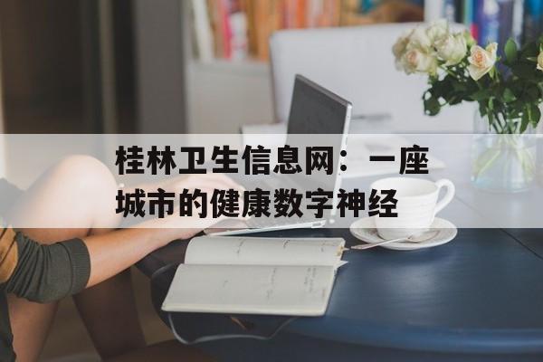 桂林卫生信息网：一座城市的健康数字神经-第1张图片-
